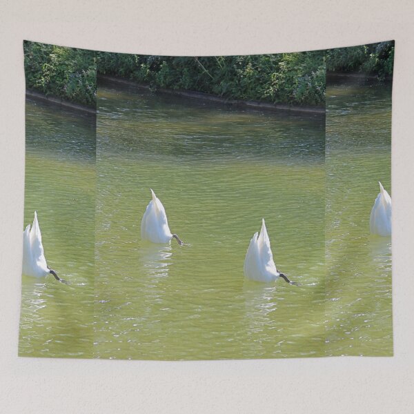 Item preview, No more Swan Lake this season, please designed and sold by Hell-Prints.