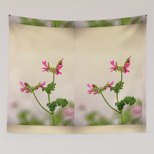 Item preview, Geraniums (Pelargonium) #5 designed and sold by Hell-Prints.