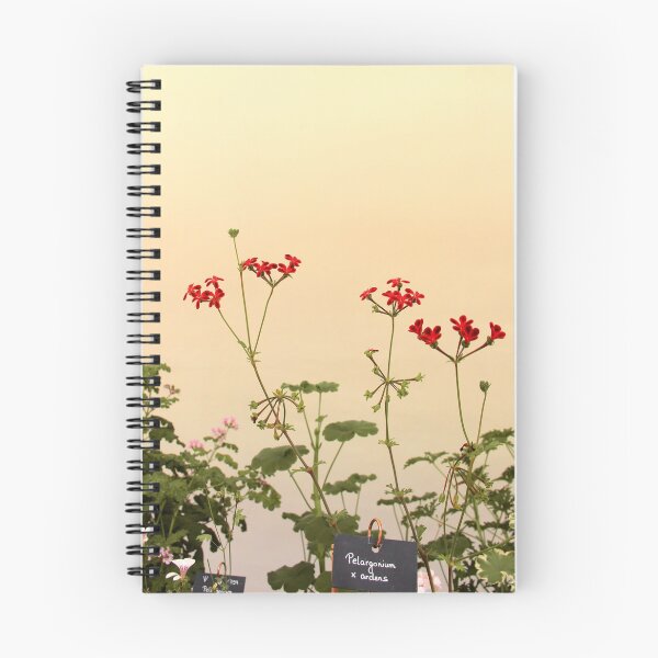 Item preview, Geraniums (Pelargonium) #6 designed and sold by Hell-Prints.
