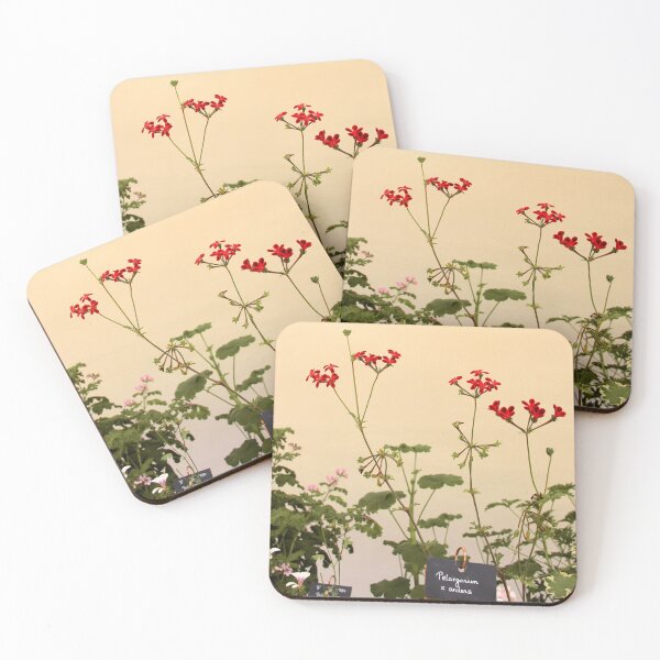Item preview, Geraniums (Pelargonium) #6 designed and sold by Hell-Prints.