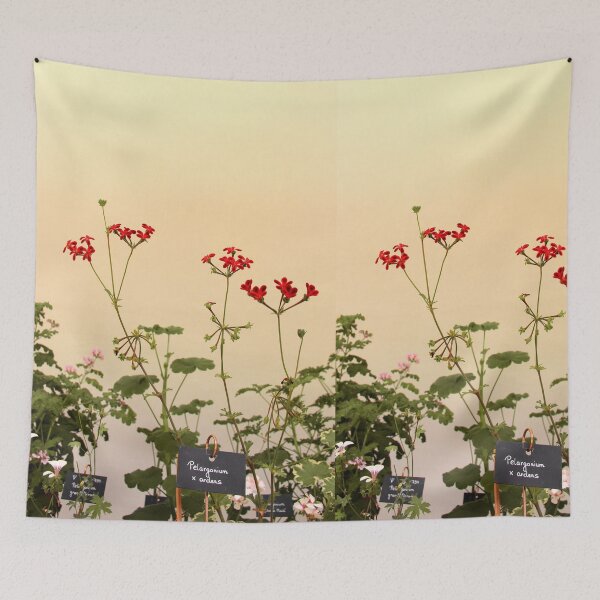 Item preview, Geraniums (Pelargonium) #6 designed and sold by Hell-Prints.