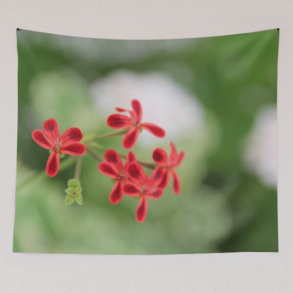 Item preview, Geraniums (Pelargonium) #7 designed and sold by Hell-Prints.