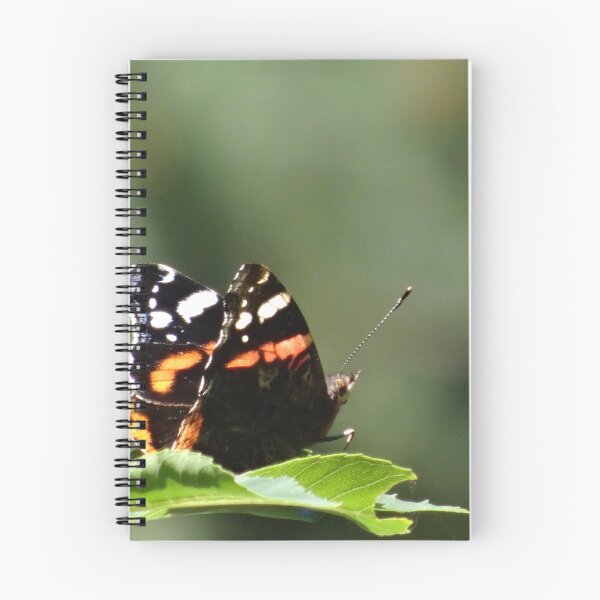 Item preview, ATALANTA BUTTERFLY designed and sold by RainbowArt.
