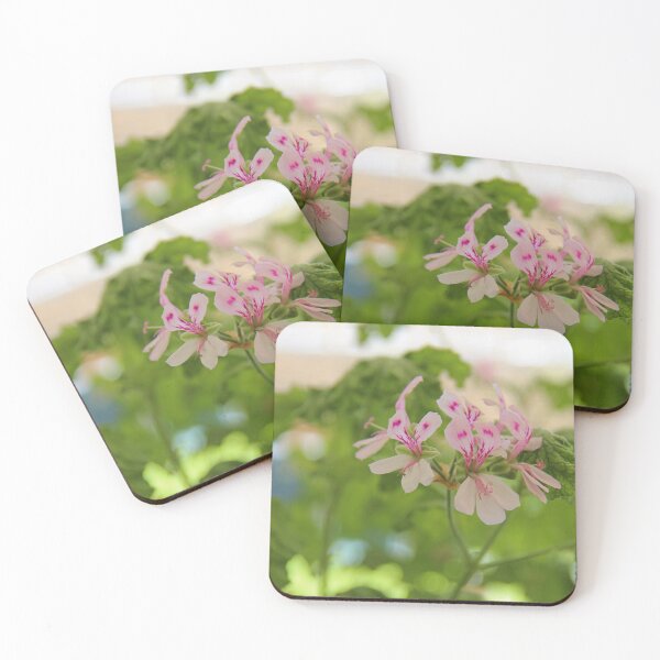 Item preview, Geraniums (Pelargonium) #04 designed and sold by Hell-Prints.