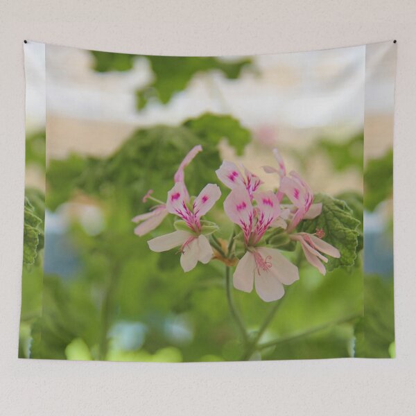 Item preview, Geraniums (Pelargonium) #04 designed and sold by Hell-Prints.