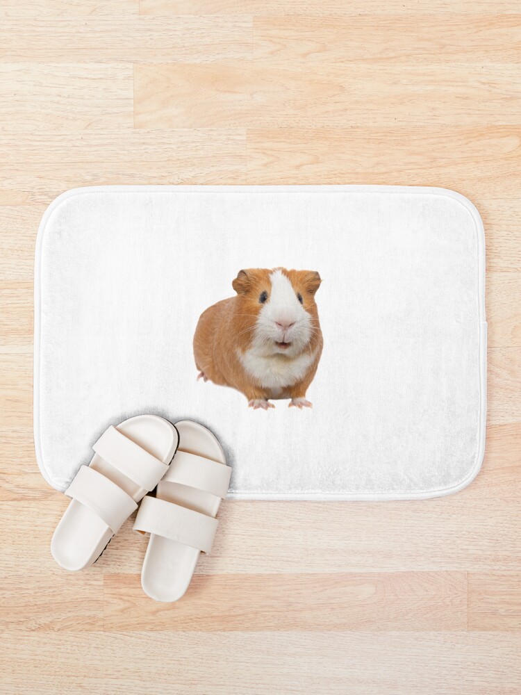 Guinea 2024 pig rug