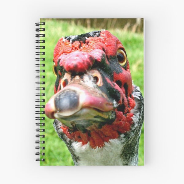 Item preview, A Face only a Mother Could Love !!! designed and sold by AnnDixon.