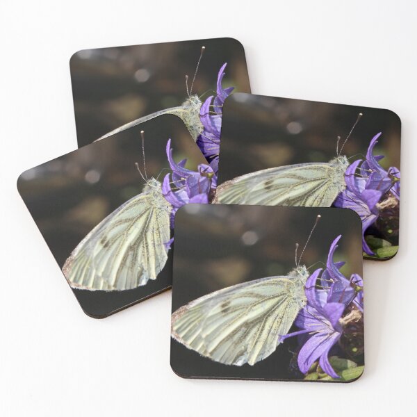 Item preview, Green Veined White Butterfly on Campanula designed and sold by AnnDixon.