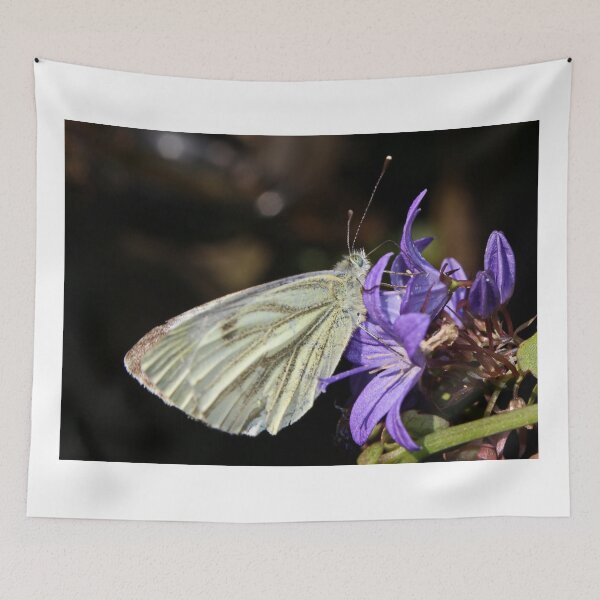Item preview, Green Veined White Butterfly on Campanula designed and sold by AnnDixon.
