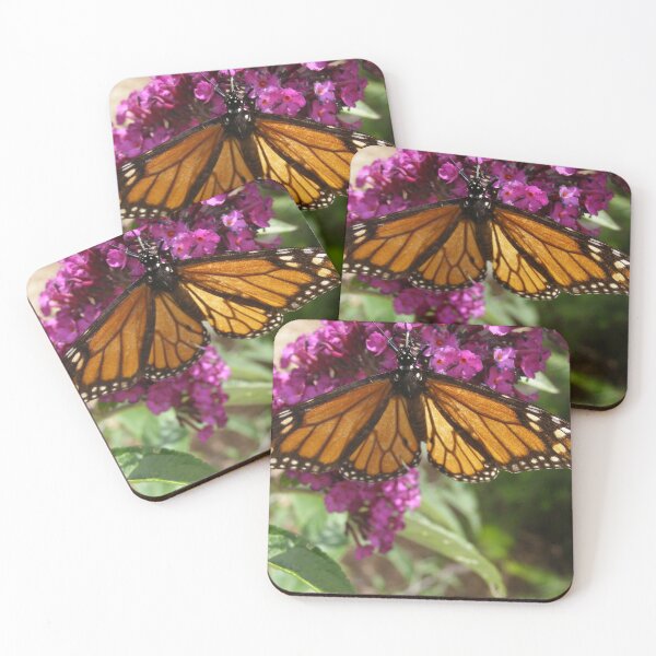 Item preview, Monarch Butterfly sipping necter, Buddlea Flower our garden. designed and sold by RitaBlom.