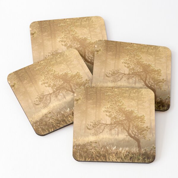 Item preview, 20.7.2019:  Pine Tree at Marsh designed and sold by Petri Volanen.