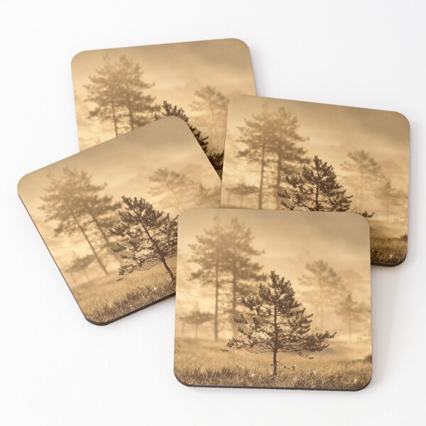 Item preview, 20.7.2019: Pine Tree at Marsh designed and sold by Petri Volanen.