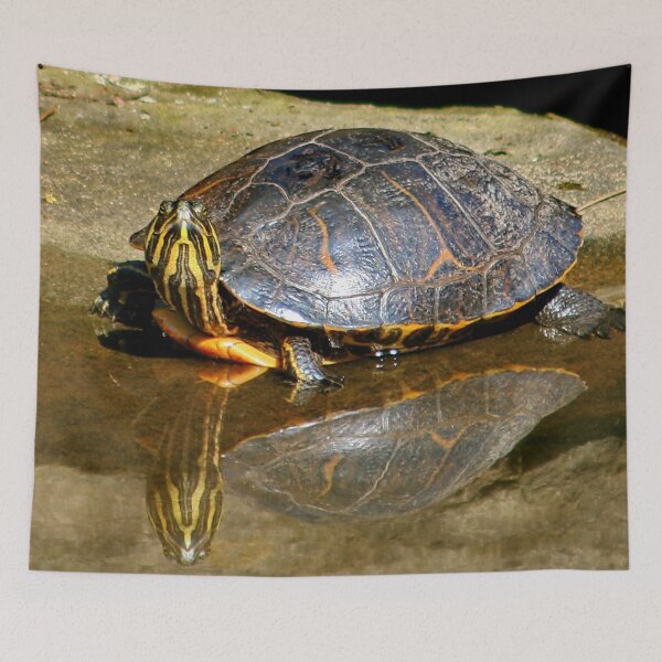 Item preview, Turtle Reflection designed and sold by AnnDixon.