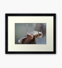 Just saying hello Framed Print