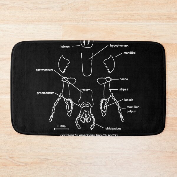 Item preview, Cockroaches mouthparts, labeled designed and sold by RosArt100.