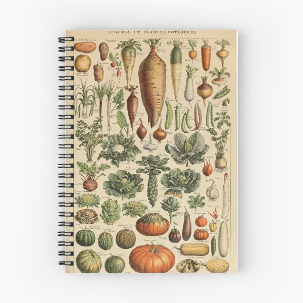 Item preview, Ilustración vintage de verduras designed and sold by Cravagnati.