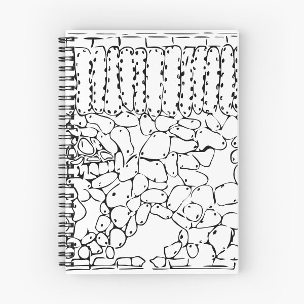 Item preview, Histological cross-section of the leaf designed and sold by RosArt100.