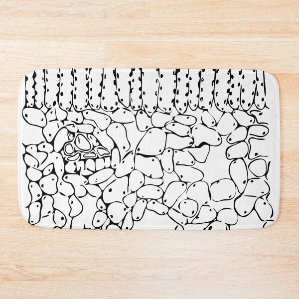 Item preview, Histological cross-section of the leaf designed and sold by RosArt100.