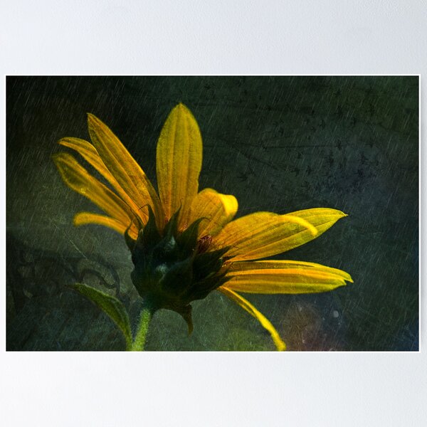 Item preview, Say goodbye to the Summer. designed and sold by zzsuzsa.
