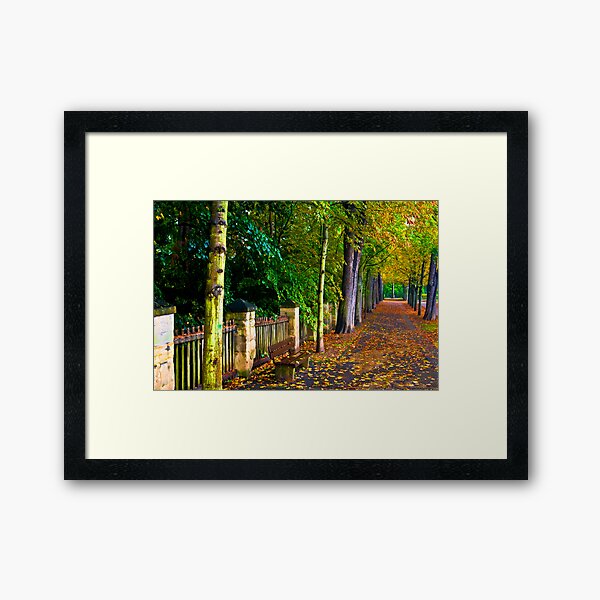 Badmergentheim Germany,After the Rain Framed Art Print
