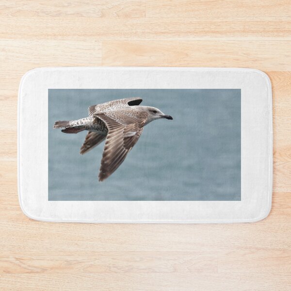 Item preview, Juvenile Herring Gull - Larus argentatus designed and sold by Chris Monks.