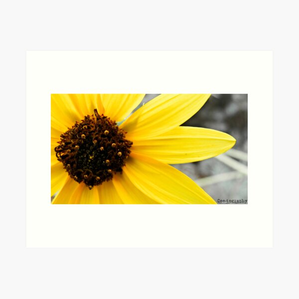 Yellow, Like The Sun Art Print