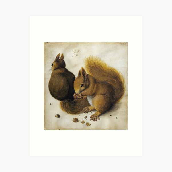 Item preview, Albrecht Durer - Two Squirrels  designed and sold by vakashop.
