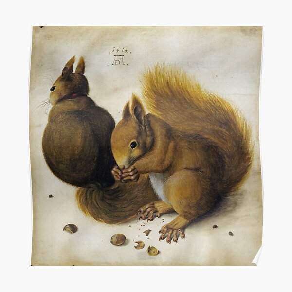 Albrecht Durer - Two Squirrels  Poster
