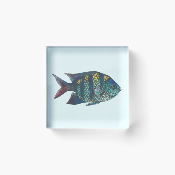 Item preview, Sergeant Major Fish designed and sold by SerenSketches.