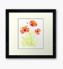 Watercolor Poppies Framed Print