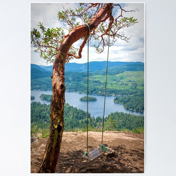 Item preview, Arbutus Tree Swing designed and sold by Tracy Riddell.