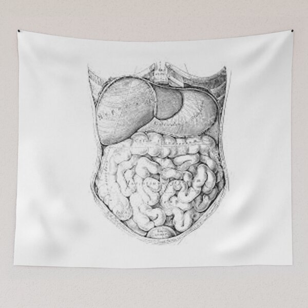 Item preview, Science Anatomy Illustration Diagram designed and sold by BoldDuck.