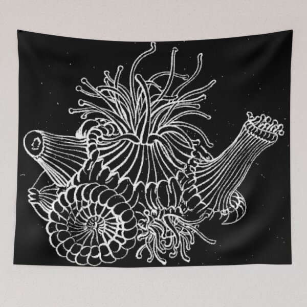 Item preview, A magnified coral community designed and sold by ZoologyKat.