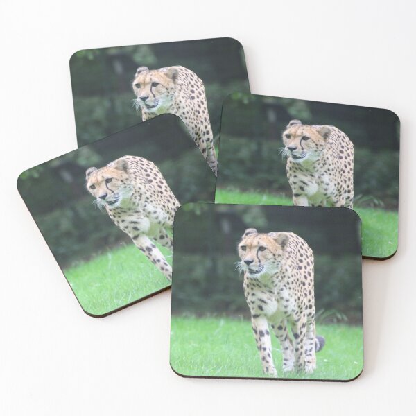 Item preview, Cheetah 003 designed and sold by JAMFoto.
