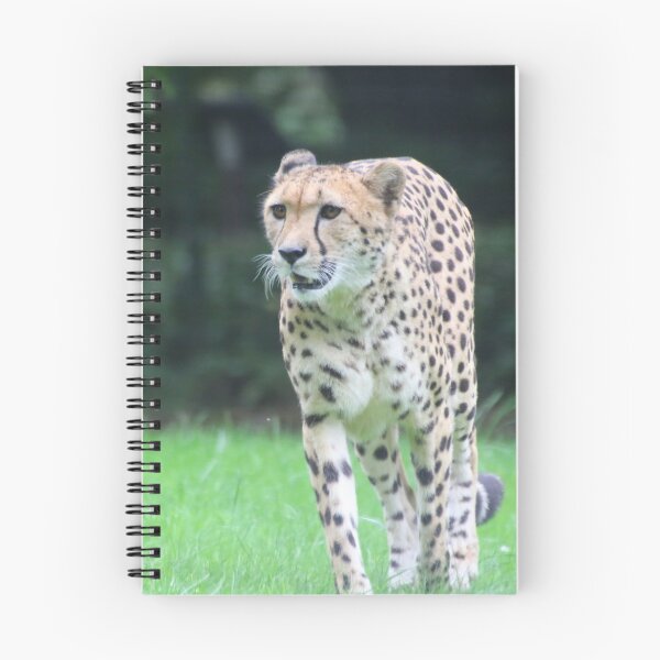 Item preview, Cheetah 003 designed and sold by JAMFoto.