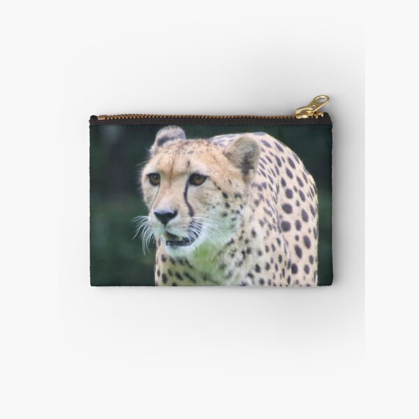 Item preview, Cheetah 003 designed and sold by JAMFoto.