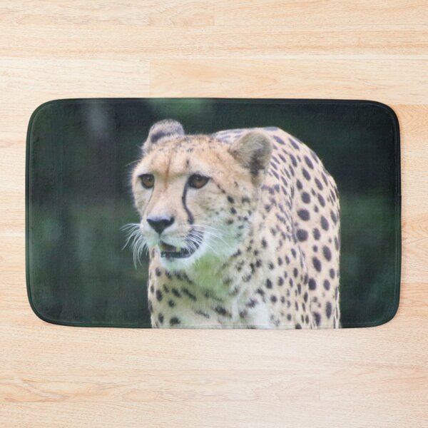 Item preview, Cheetah 003 designed and sold by JAMFoto.