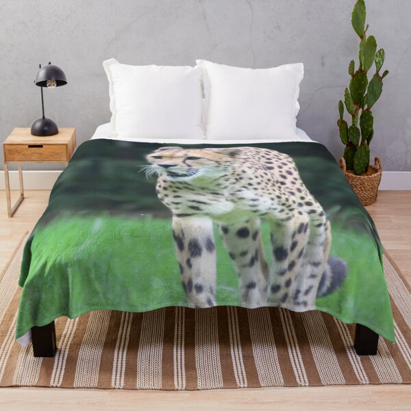 Item preview, Cheetah 003 designed and sold by JAMFoto.