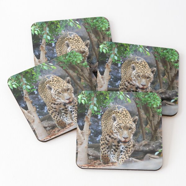Item preview, Jaguar 001 designed and sold by JAMFoto.