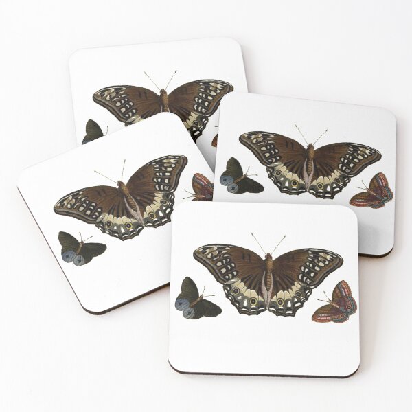 Item preview, Butterflies vintage illustration diagram entomology designed and sold by BoldDuck.