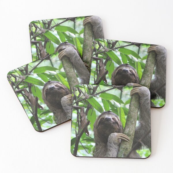 Item preview, Sloth 001 designed and sold by JAMFoto.