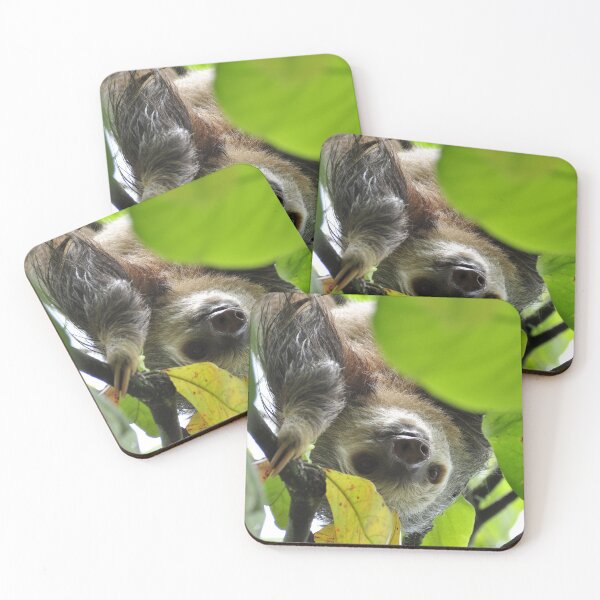 Item preview, Sloth 002 designed and sold by JAMFoto.