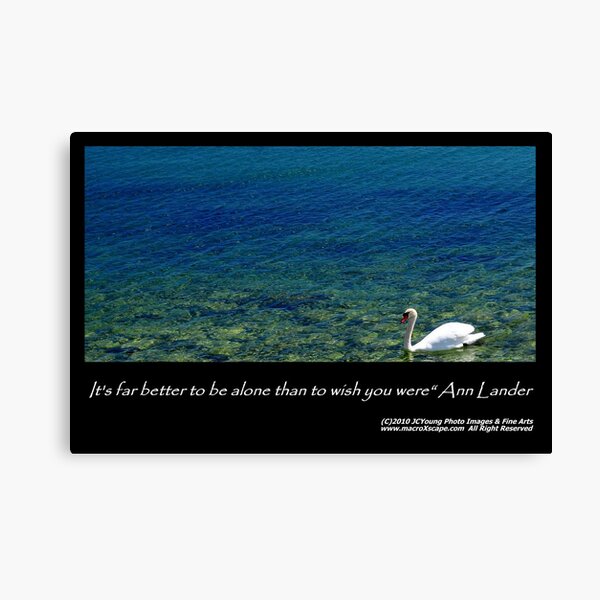 It's far better to be alone... Canvas Print