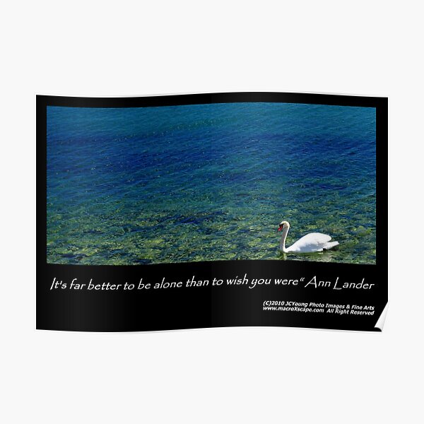 It's far better to be alone... Poster