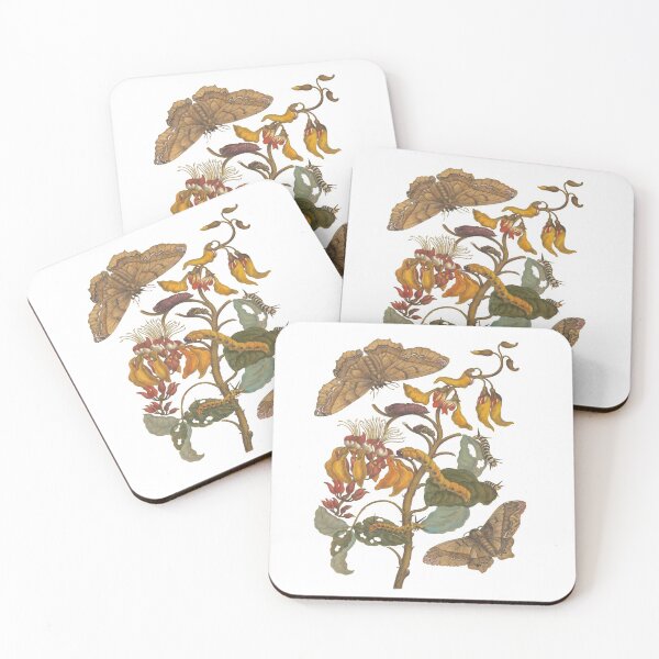 Item preview, Butterfly Caterpillar Entomology Illustration  designed and sold by BoldDuck.