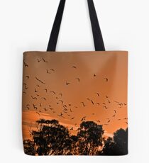 Corella Sunset Tote Bag