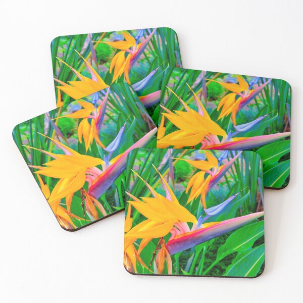 Item preview, Birds of Paradise designed and sold by Cathy Jones.