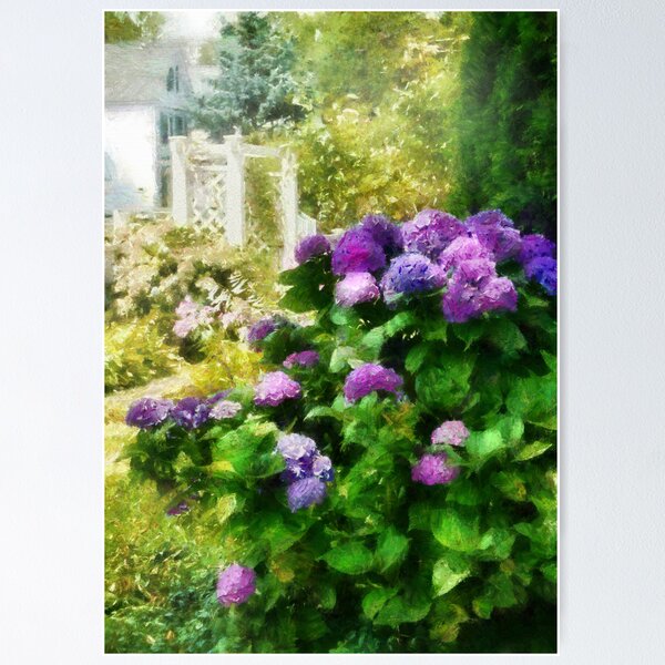 Item preview, Flower - Lovely Hydrangea  designed and sold by Mike Savad Photography.