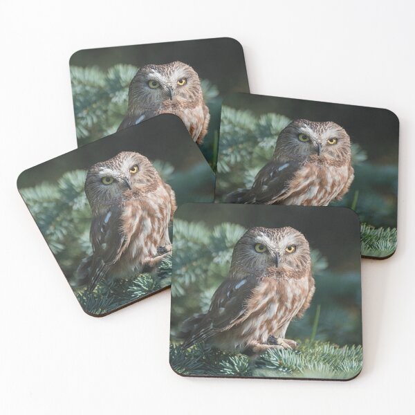 Item preview, Saw Whet Owl designed and sold by Sylvia Labelle.