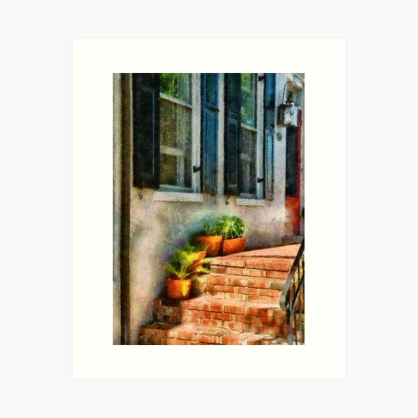 Item preview, Flowers - Plants - The Stoop  designed and sold by Mike Savad Photography.